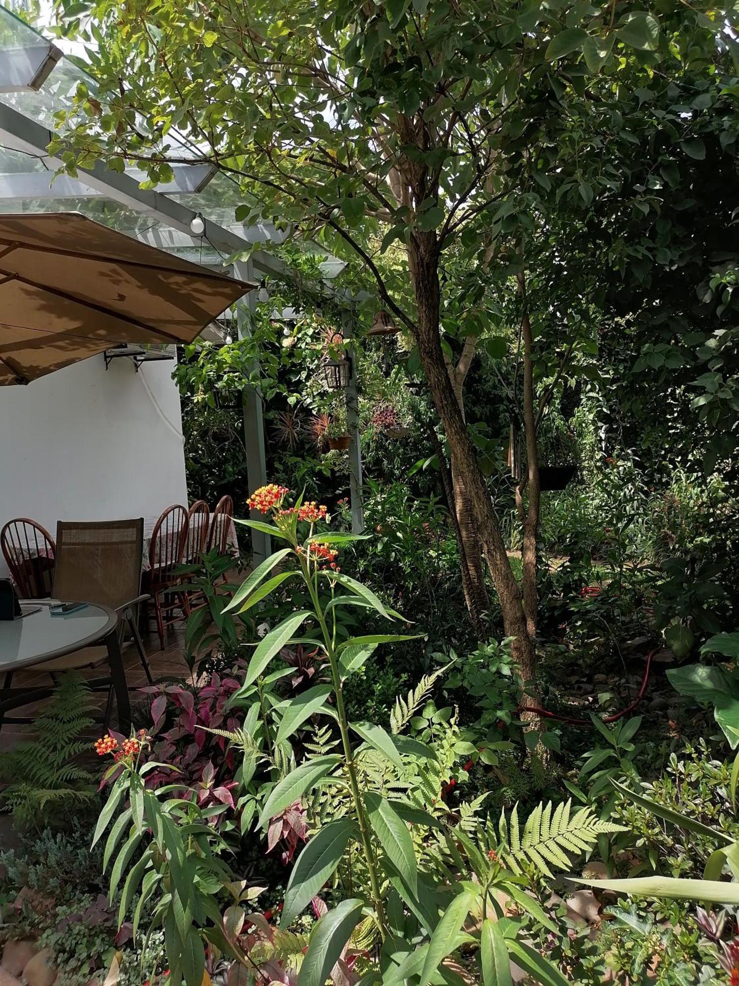 Granados Bed & Breakfast Asuncion Exterior photo